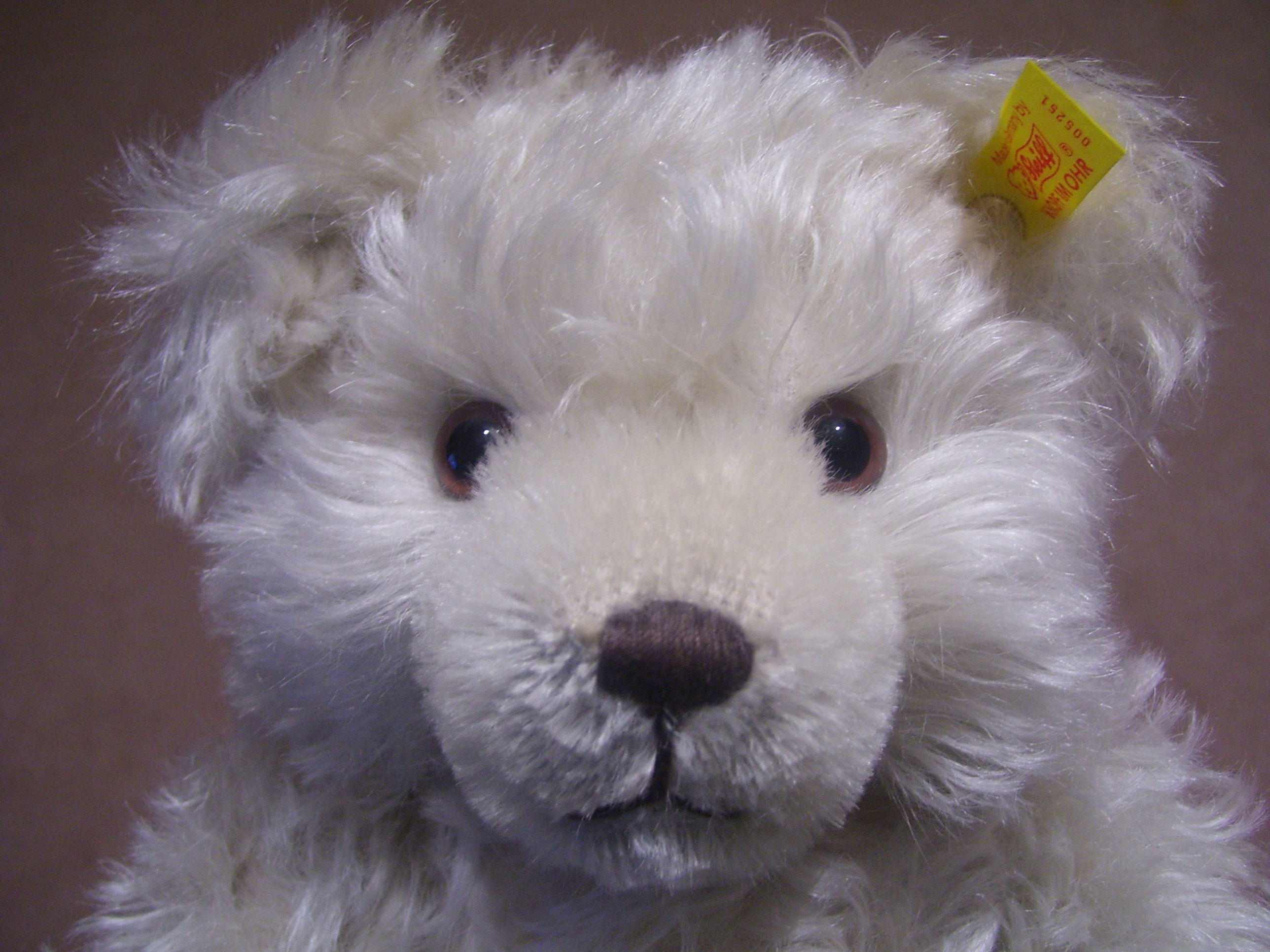 Collecting Vintage Teddies How Old Is Teddy? Handmade artist teddy