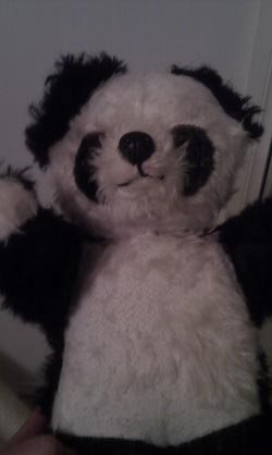 verna panda bear