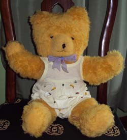 wendy boston teddy