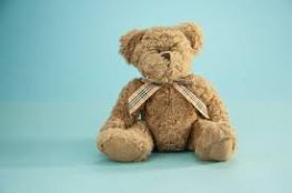 Teddy Bear Brands in the World
