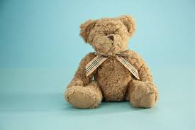 Teddy Bear Brands in the World